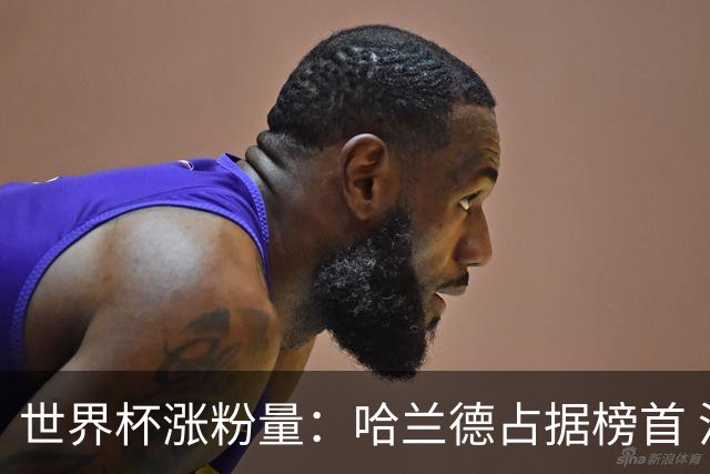 世界杯涨粉量：哈兰德占据榜首 沃齐尼亚粉丝涨幅97900%