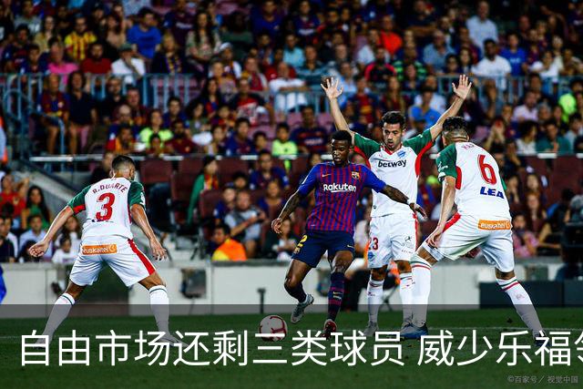 自由市场还剩三类球员 威少乐福领衔失业大军？